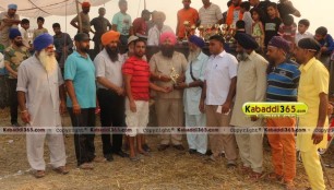 sandwan_(phagwara)_ox_race_17_may_2015