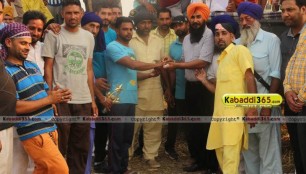 sandwan_(phagwara)_ox_race_17_may_2015