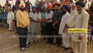 sandwan_(phagwara)_ox_race_17_may_2015