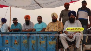 sandwan_(phagwara)_ox_race_17_may_2015