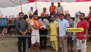 sandwan_(phagwara)_ox_race_17_may_2015