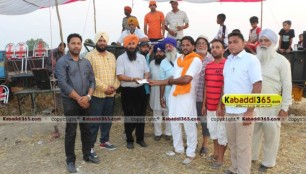 sandwan_(phagwara)_ox_race_17_may_2015