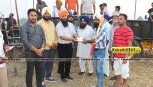sandwan_(phagwara)_ox_race_17_may_2015