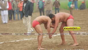 sur_wind_(tarn_taran)_shinj_mela_15_jan_2016