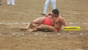 sur_wind_(tarn_taran)_shinj_mela_15_jan_2016