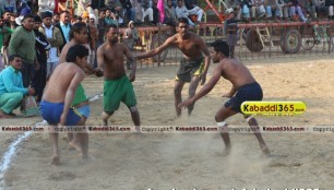 vairoke_(moga)_kabaddi_tournament_30_jan_2015