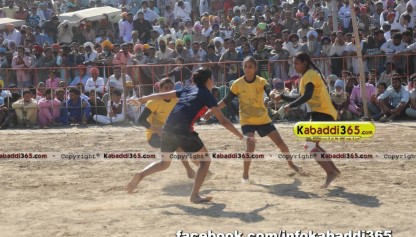 nateha (mansa) kabaddi tournament 21 feb 2016