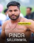 Pinda Sajjanwal